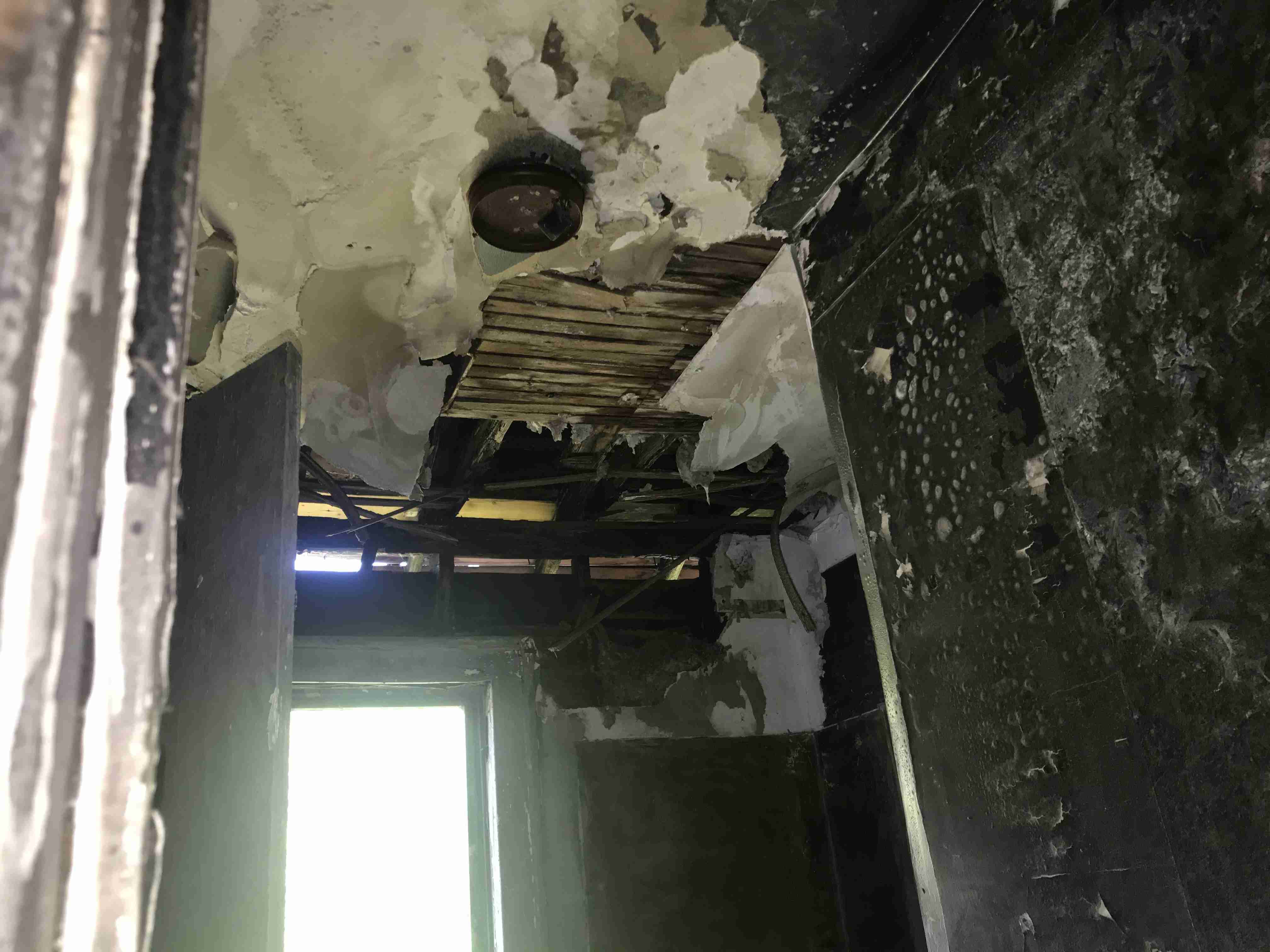 Photo Aug 21, 1 49 25 PM.jpg